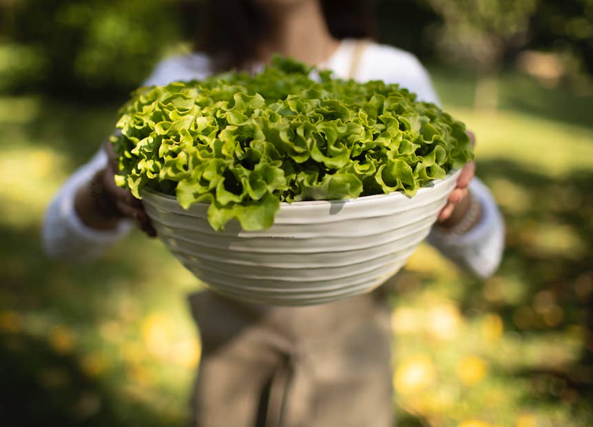 Luxe Lodge - Wholesale Bowl - Salad bowl
