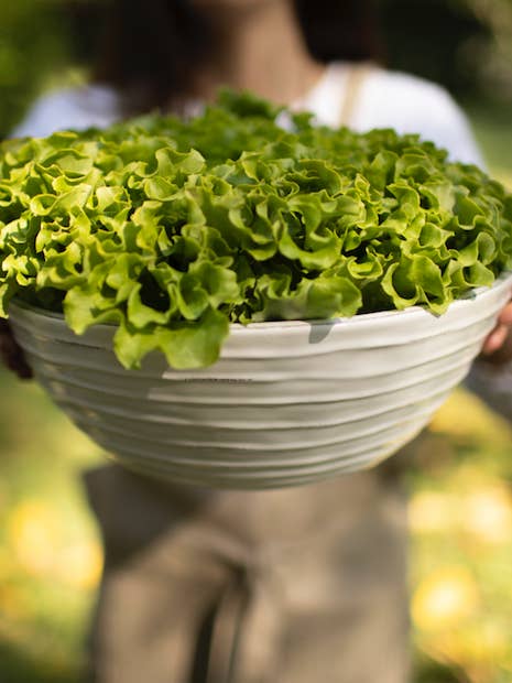 Salad bowl for wholesale by Luxe Lodge