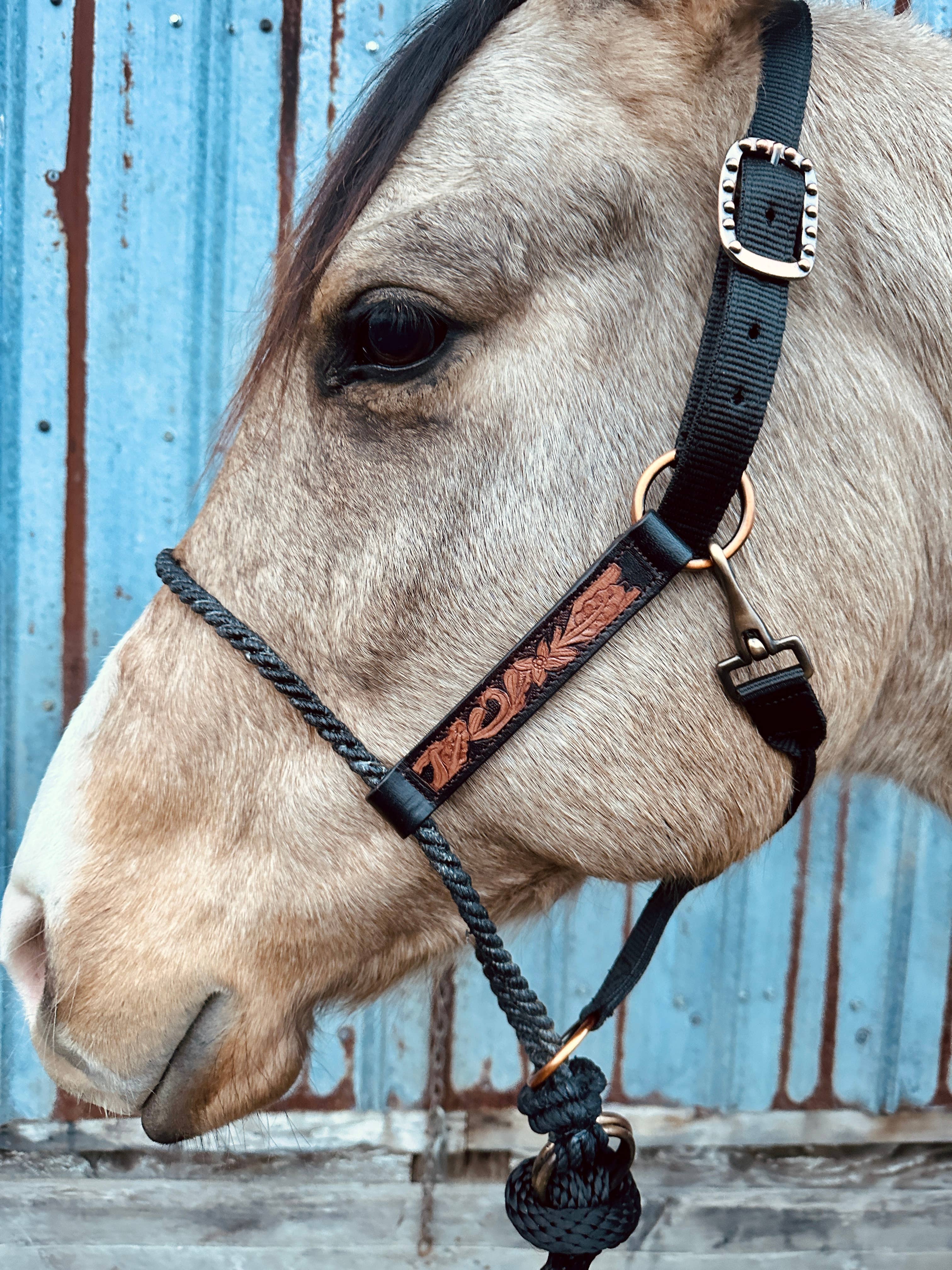 Schulz Equine - Wholesale Horseback Riding Gear - Lariat Nose Halter5