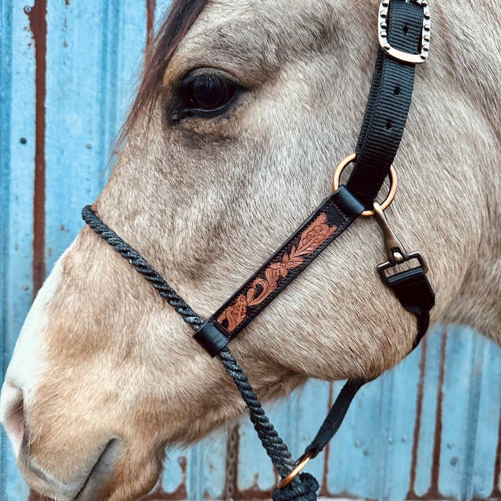 Schulz Equine - Wholesale Horseback Riding Gear - Lariat Nose Halter10