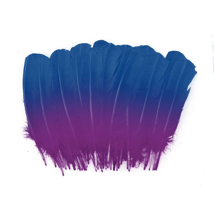 Piume di Tacchino Tonde a Due Toni con Punta Ombre in Massa - 10-12” - 1/4 lb - Turchese Scuro-Molto Bacca per la vendita all'ingrosso da parte di Zucker Feather Products