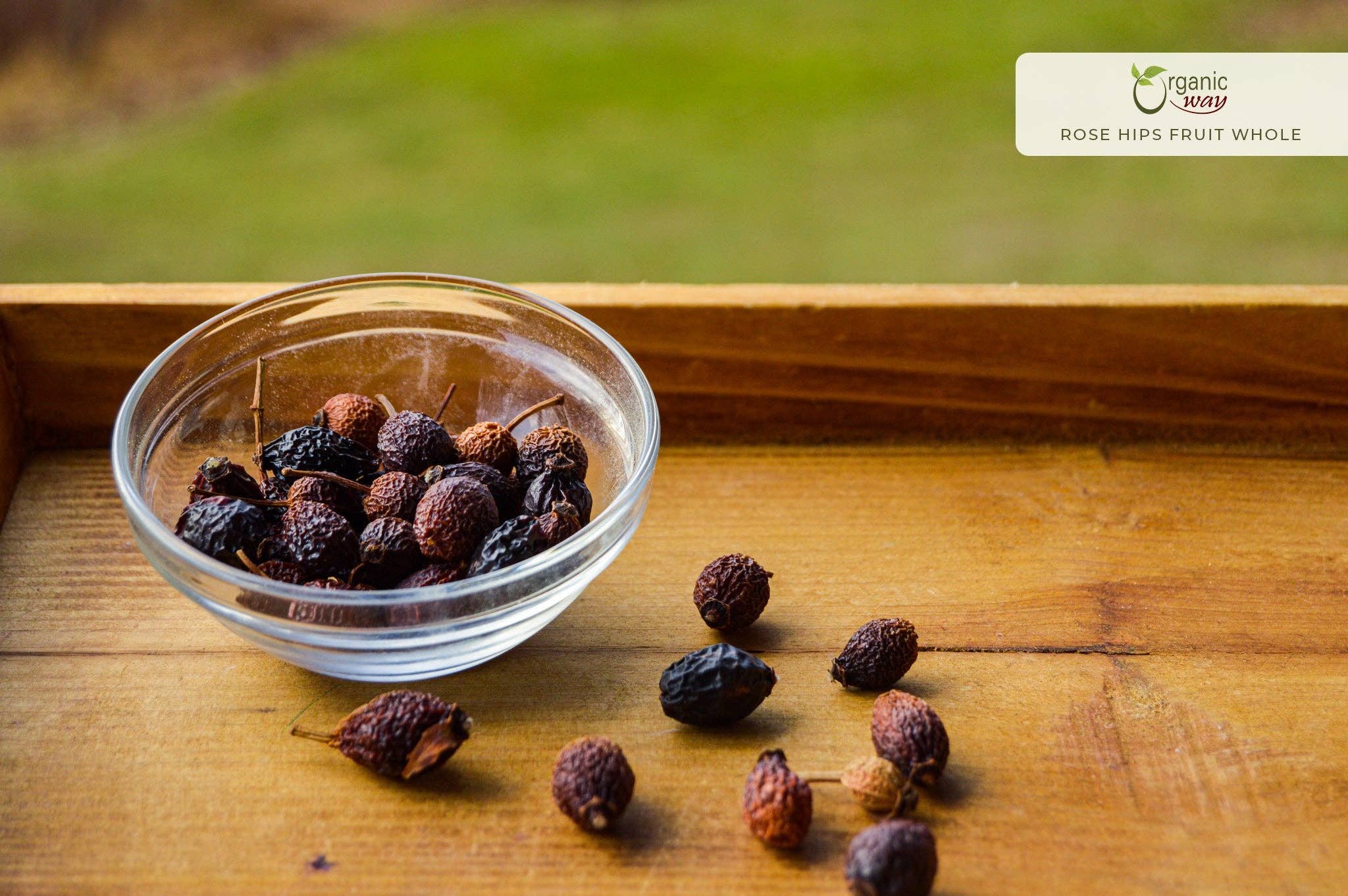 Organic Way LLC - Vendita all'ingrosso Frutta secca/disidratata - Frutto di cinorrodo intero premium (Rosa canina) - raccolto selvatico europeo | Certificato kosher | Vegano, non OGM e senza glutine | Certificato USDA | Origine Albania1