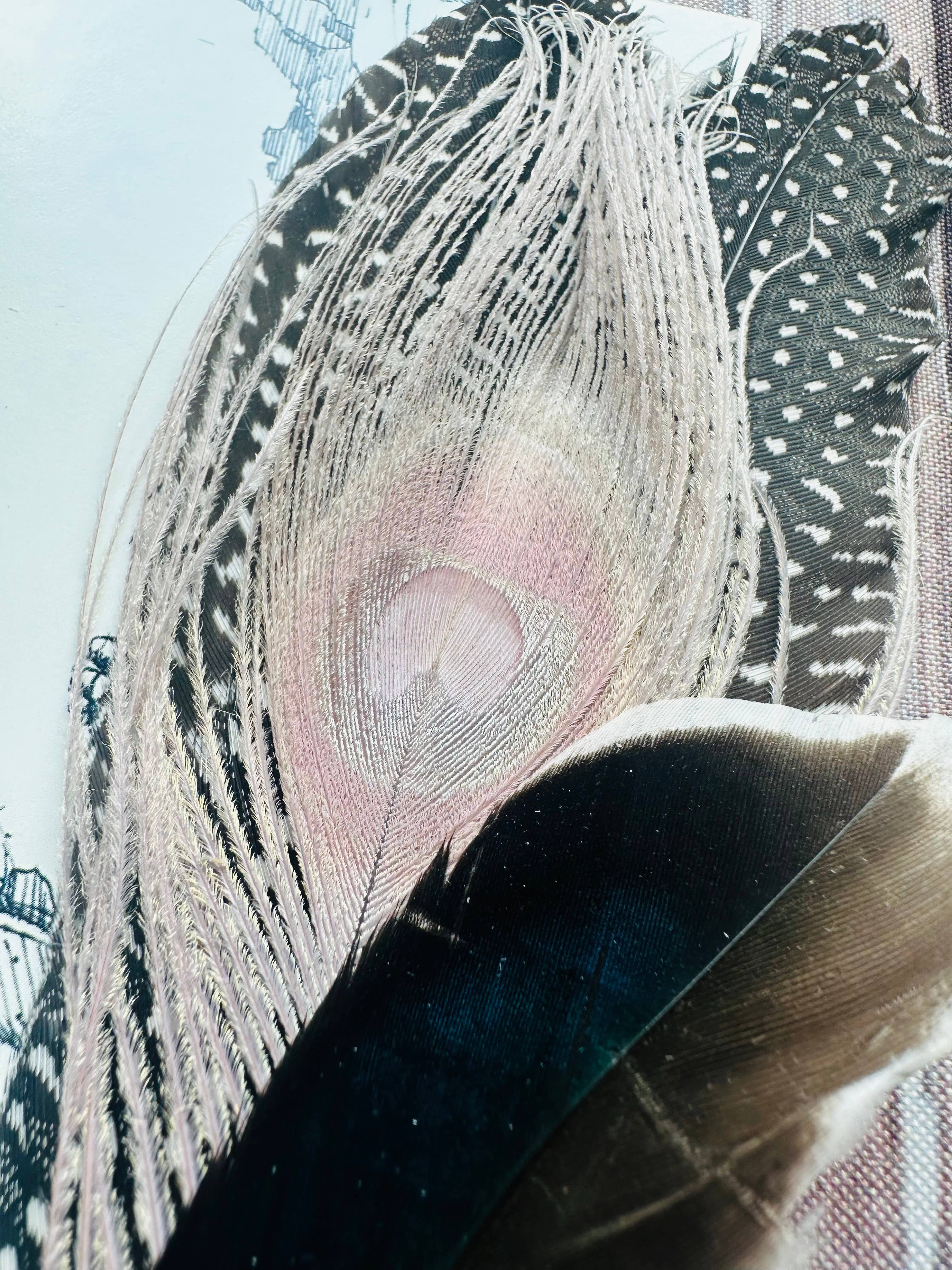 Boots Are My Roots - Vente Accessoire pour chapeau – femme - Épingles à chapeau à plumes mélangées #112