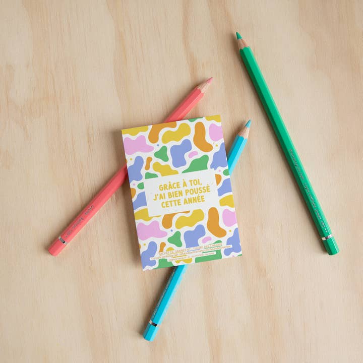 La Fabrique à Sachets - Wholesale Plant Seeds - I pushed well! - Field flower seed bag1