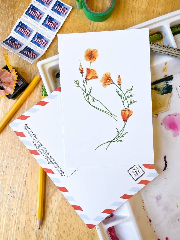 California postcard featuring a golden poppies for wholesale by Hannah Moore Art