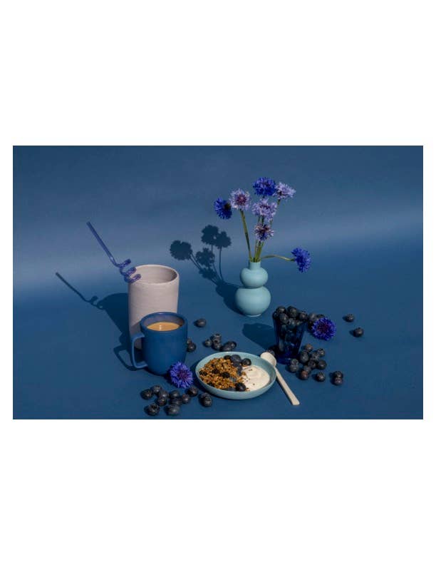 Sweet Deliverance - Wholesale Granola - Blueberry & Sunflower Butter Granola 3