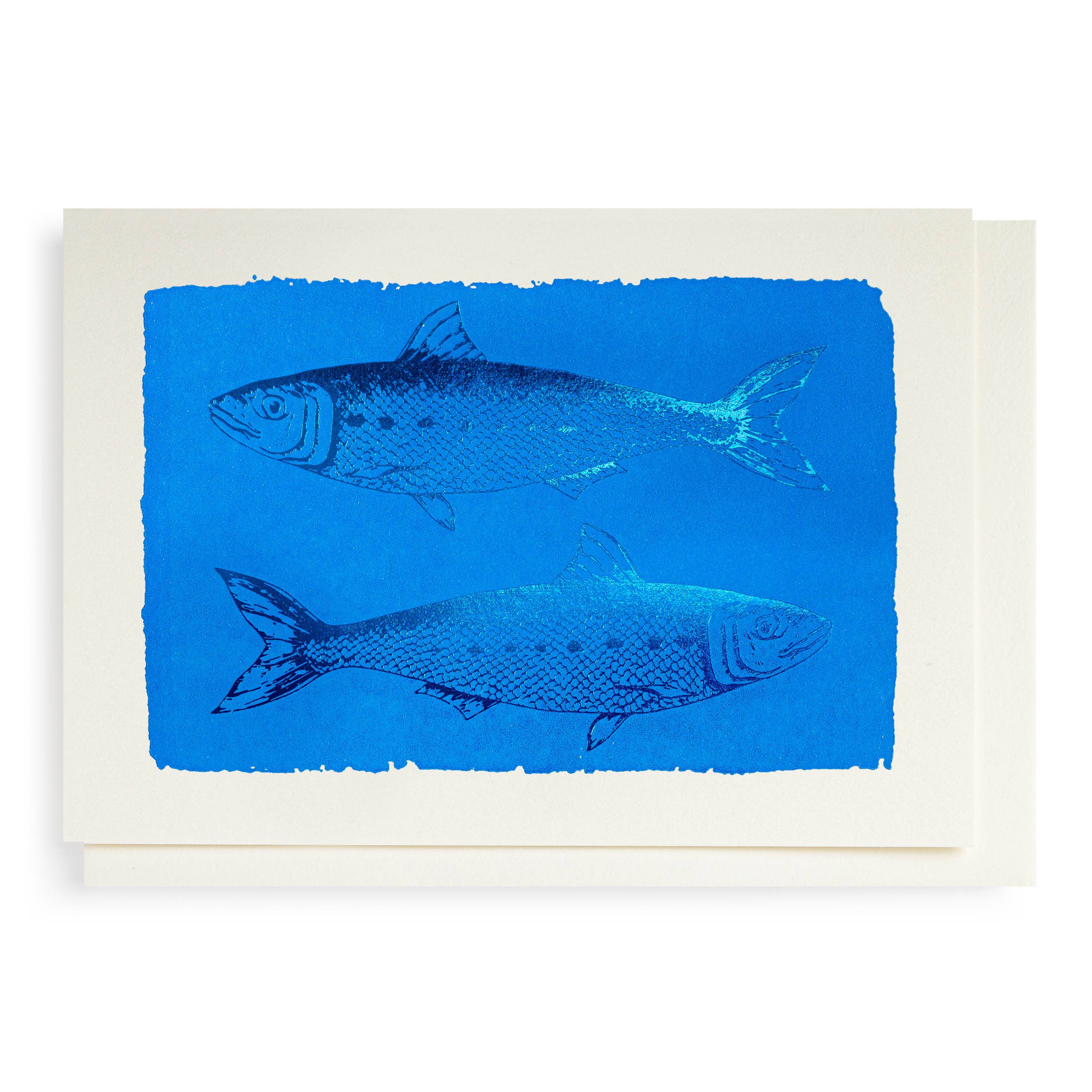 Archivist Gallery | United States - Wholesale Everyday Greeting Card - Sardines | Notelet Card0