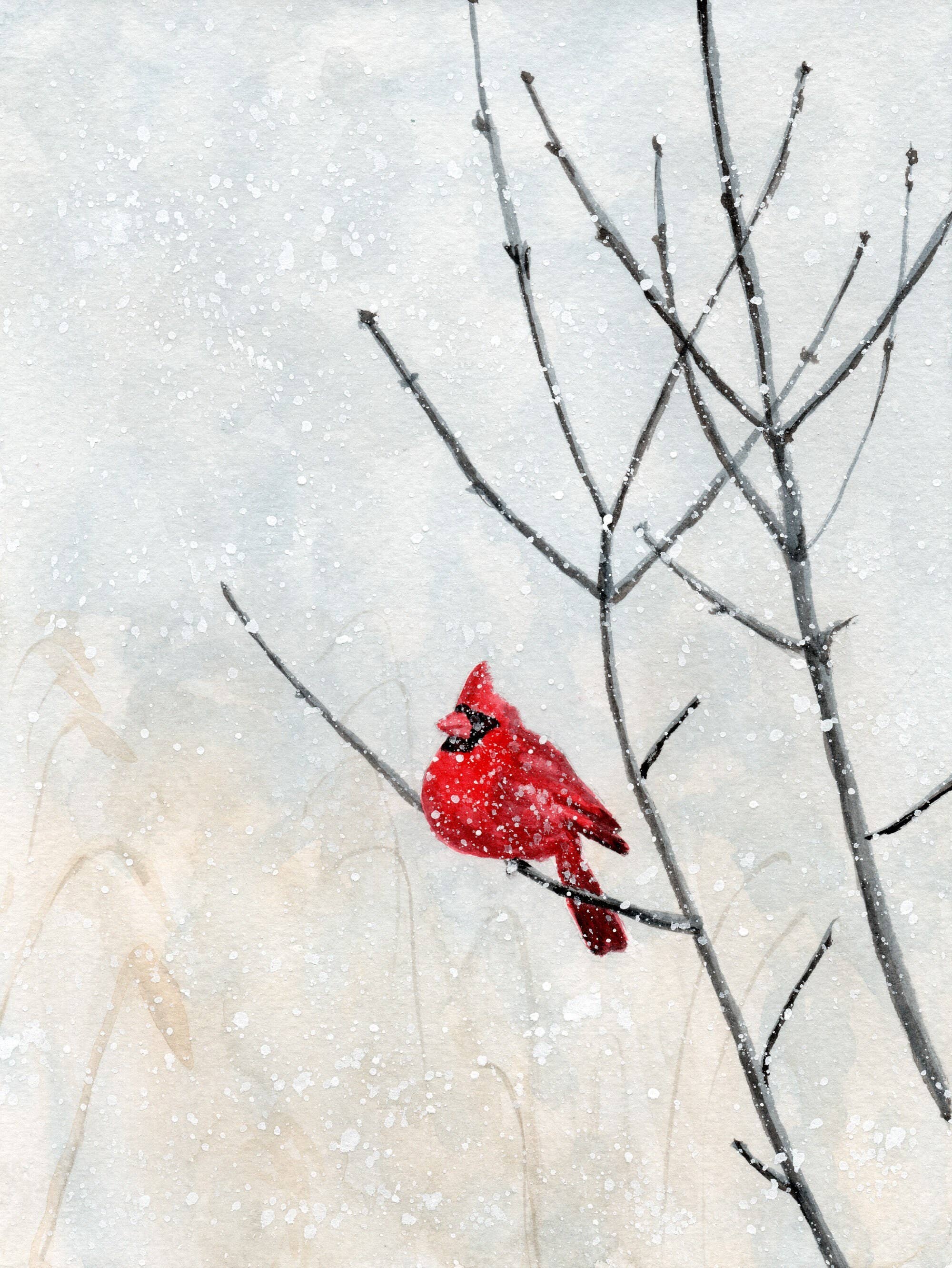 Kathryn Paul Fine Art - Wholesale Art Print - Christmas Cardinal Watercolor Print: Winter Bird Art1