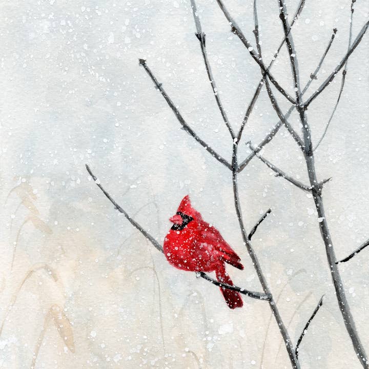 Kathryn Paul Fine Art - Wholesale Art Print - Christmas Cardinal Watercolor Print: Winter Bird Art1