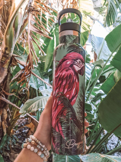 My Bougie Bottle - Wholesale Water Bottle - MACAW Parrot 25 oz Insulated Water Bottle1