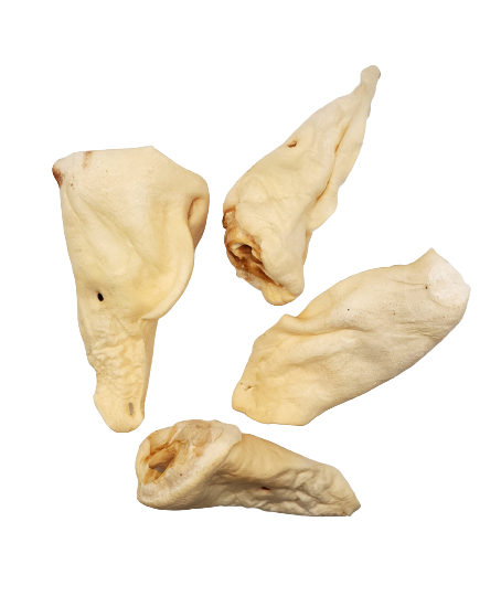 Dibo Pet Foods - Wholesale Pet Treats - Dog - Beef Ears - Dog Chews2