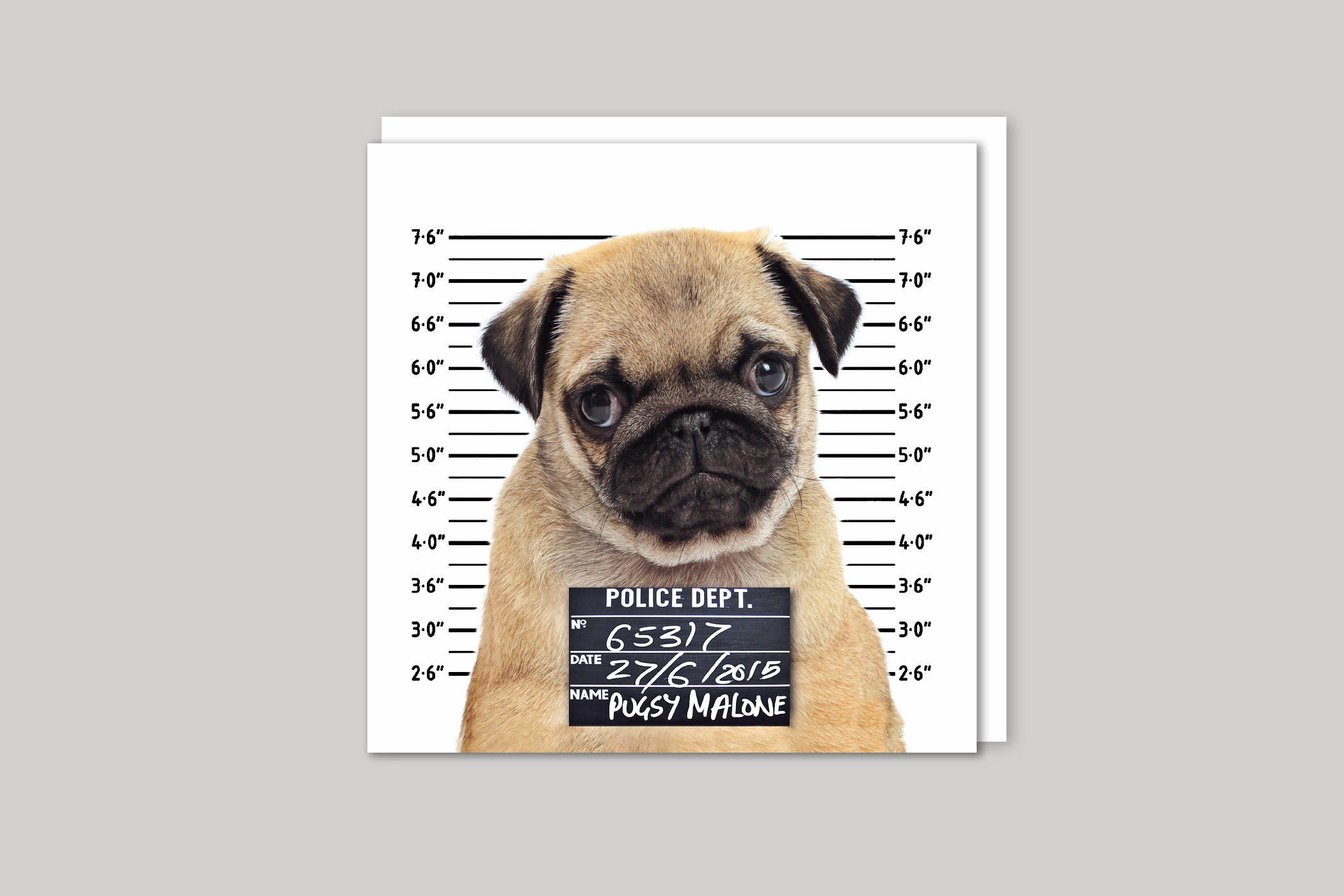 Icon - Wholesale Everyday Greeting Card - Pugsy Malone Greeting Card1