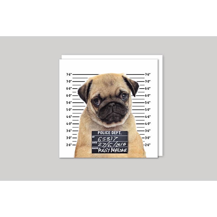Icon - Wholesale Everyday Greeting Card - Pugsy Malone Greeting Card1