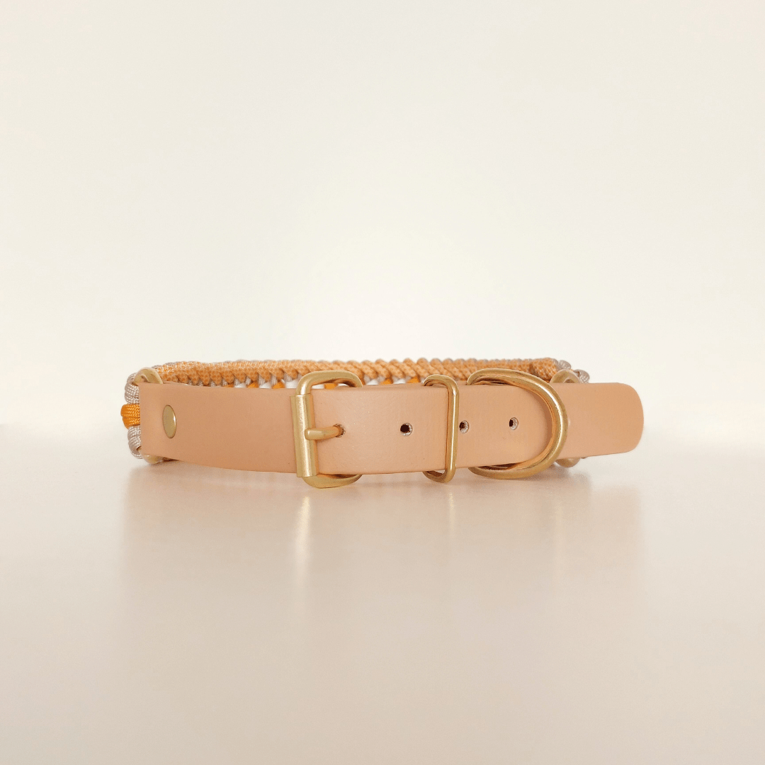 Truffe & Flair - Wholesale Pet Collar - Dog - Braided Dog Collar - Biothane/Paracord - Yellow5