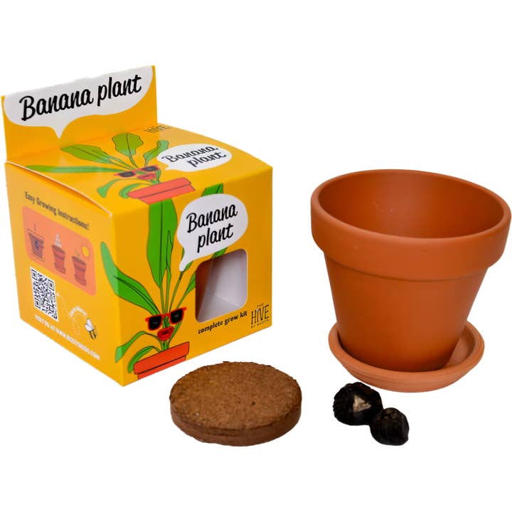 Buzzy Grow Gifts - Wholesale Plant Seeds - Exotic Banana Plant Grow Kit – Indoor Tropical Gift Set1