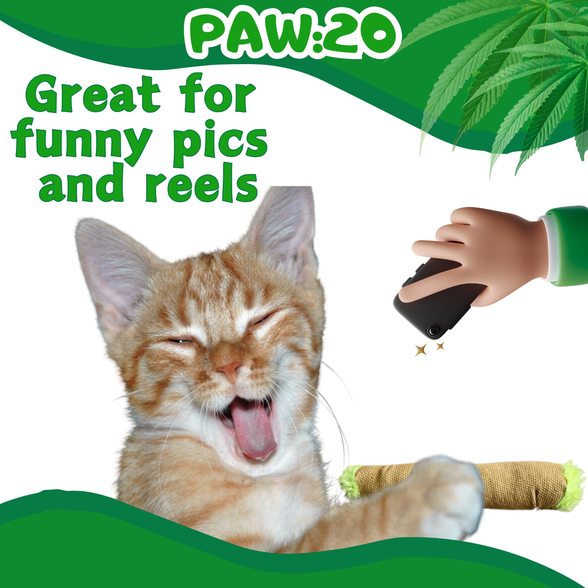 PAW:20 - Vente Jouet – chat - Lil' B the Blunt, Jouet pour Chat en Herbe à Chat Farci Parodique3