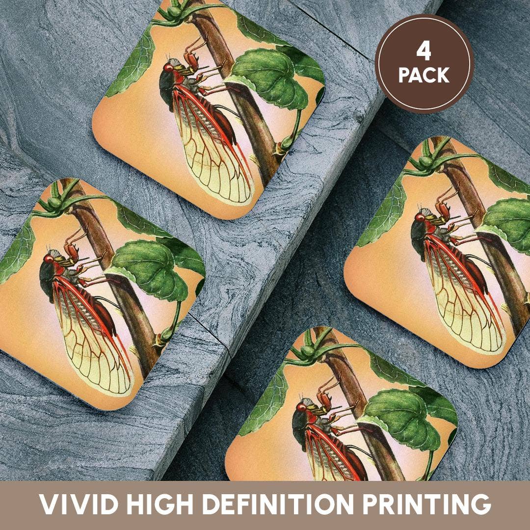 3dRose - Wholesale Coasters - 3dRose, Cicada - cicada, cicadas, magicicada septendecim, insect, insects, bugs, winged insects, Coaster12