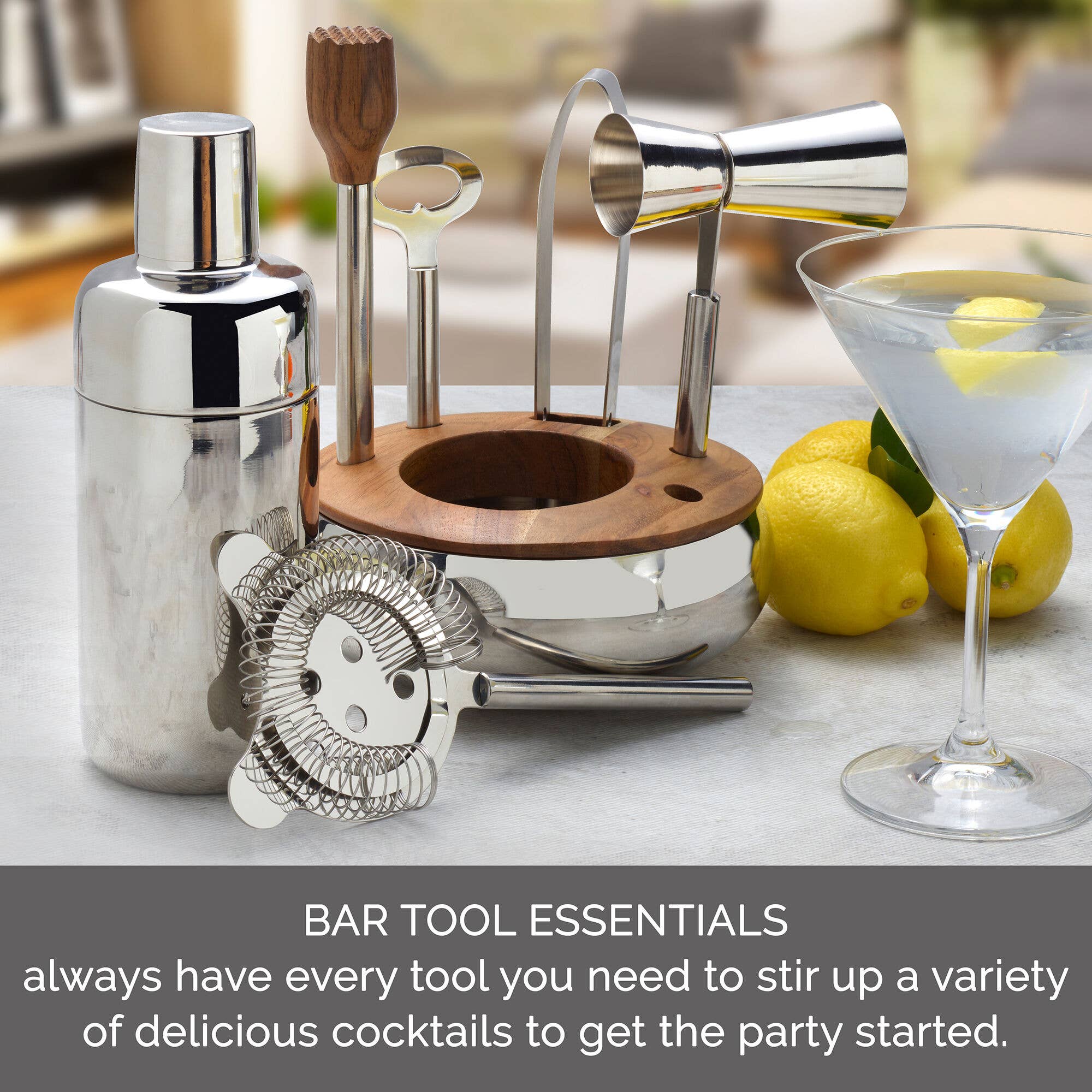 Lifetime Brands Silverwarehouse - Wholesale Bar Tool - Mikasa Classic 8-piece Bar Tool Set7