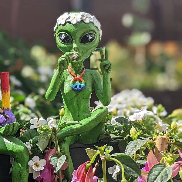 John Bernard & Company - Wholesale Decorative Figurine - “Hippie and Stoner” 10 Inch H Alien Shelf Sitter Statues