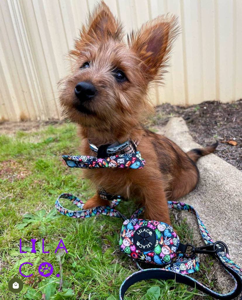 Lila Co - Wholesale Pet Leash - Dog - Dog Leash | Gamer Characters1