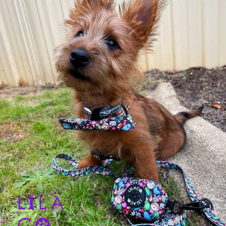 Lila Co - Wholesale Pet Leash - Dog - Dog Leash | Gamer Characters1