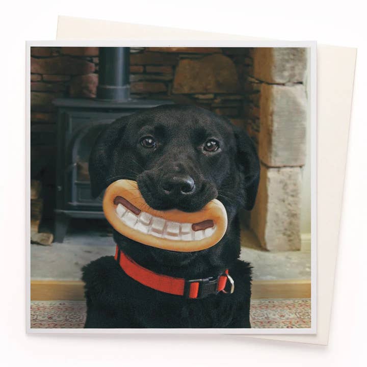 Smile Gromit | Tarjeta de felicitación con humor fotográfico para venta al por mayor de USTUDIO Design