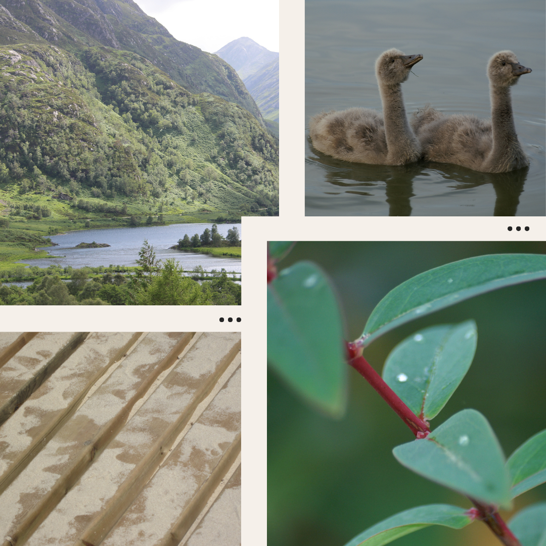 x The Fancy Firefly - Wholesale Art Print - Photography Prints - Selection from 40+ images in catalogue1