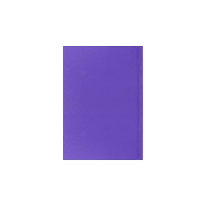 Collins Debden - Wholesale Planner - Essentials - A5 Week-to-View with Appointments Mid/Academic Year Diary Planner 2025-202623