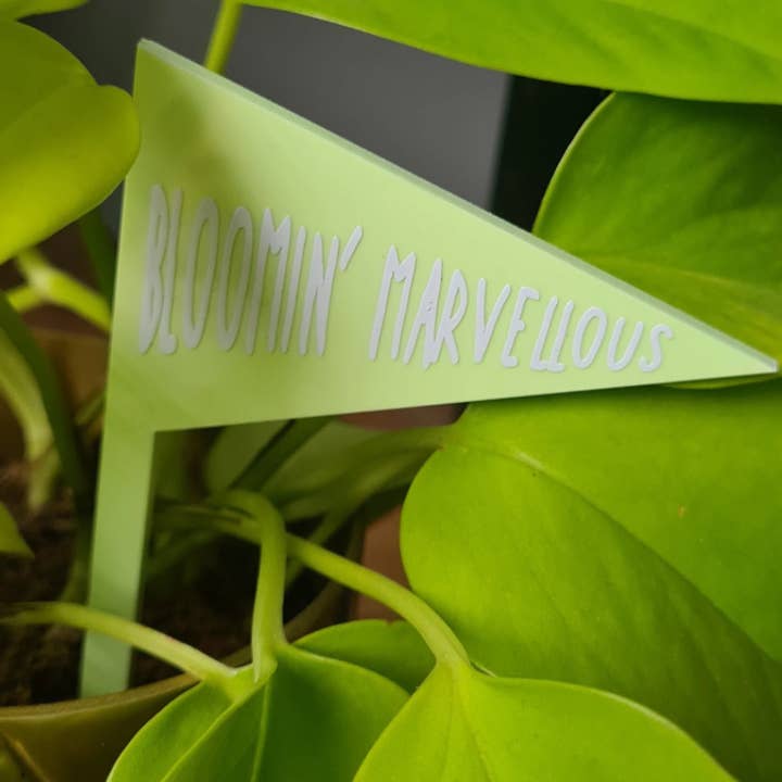 Plant Stake - Bloomin' Marvellous for wholesale by Livvy Rose Studio