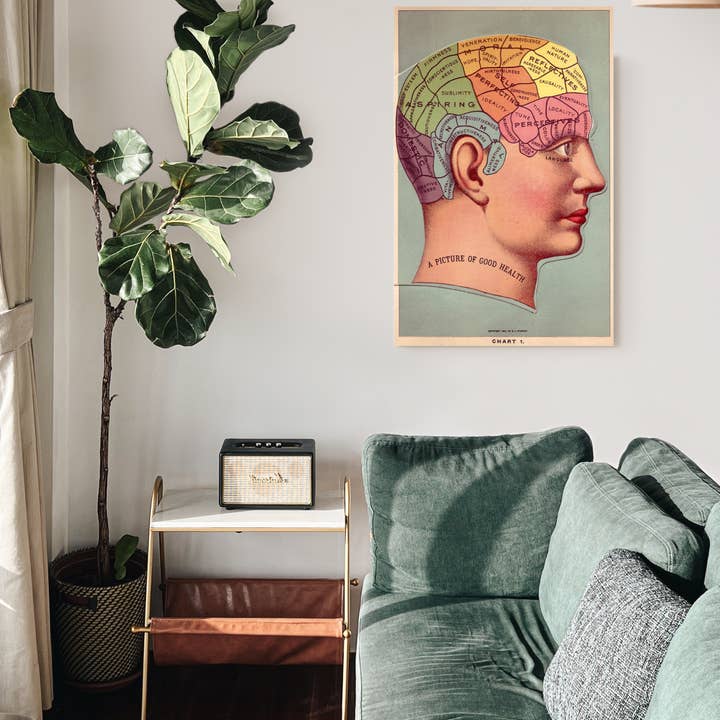 Barbara Decor - Wholesale Poster - 16x24" Poster, Vintage Phrenology Poster Print, Brain Art