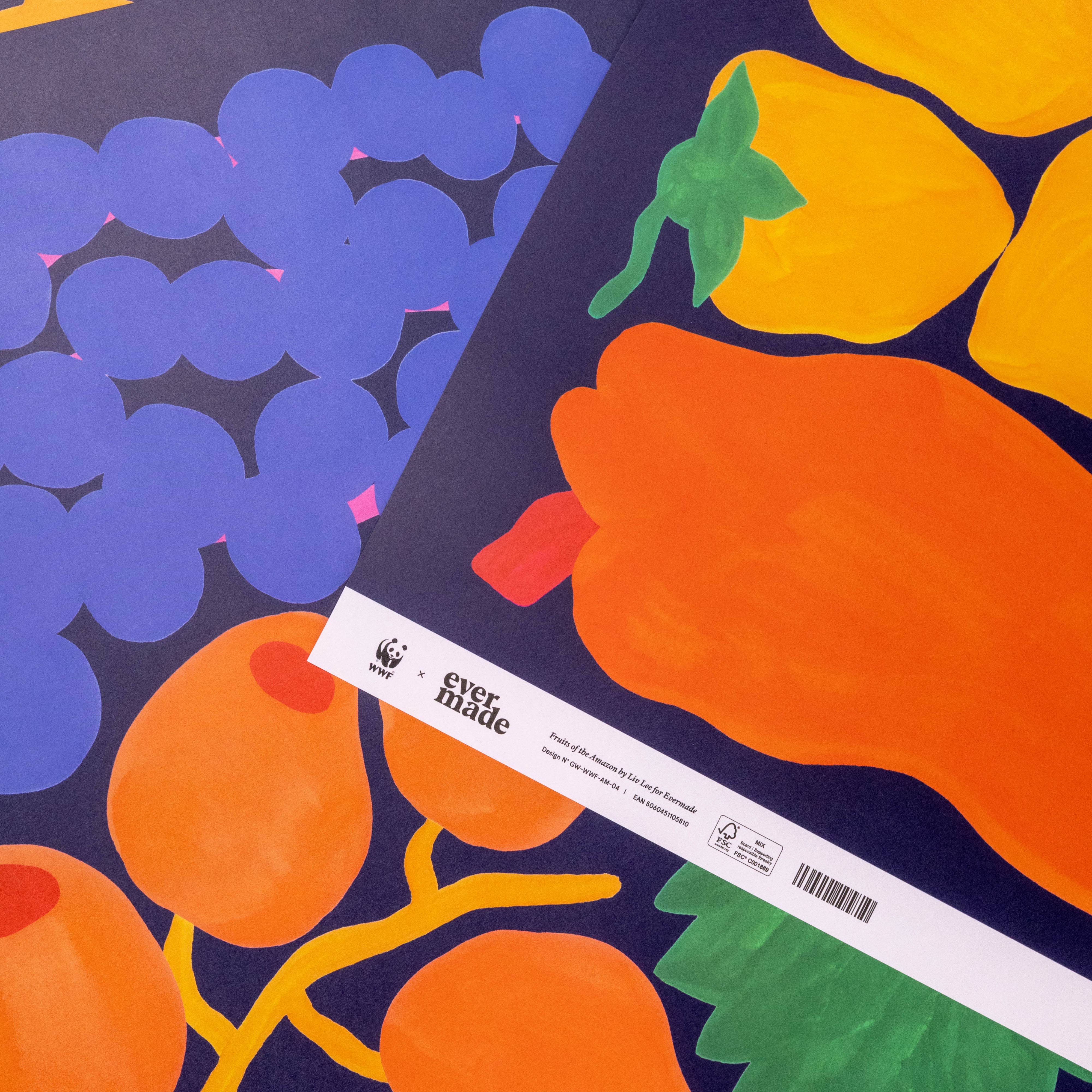 Evermade - Wholesale Flat Wrap - Fruits of the Amazon Gift Wrap by Liv Lee x WWF5