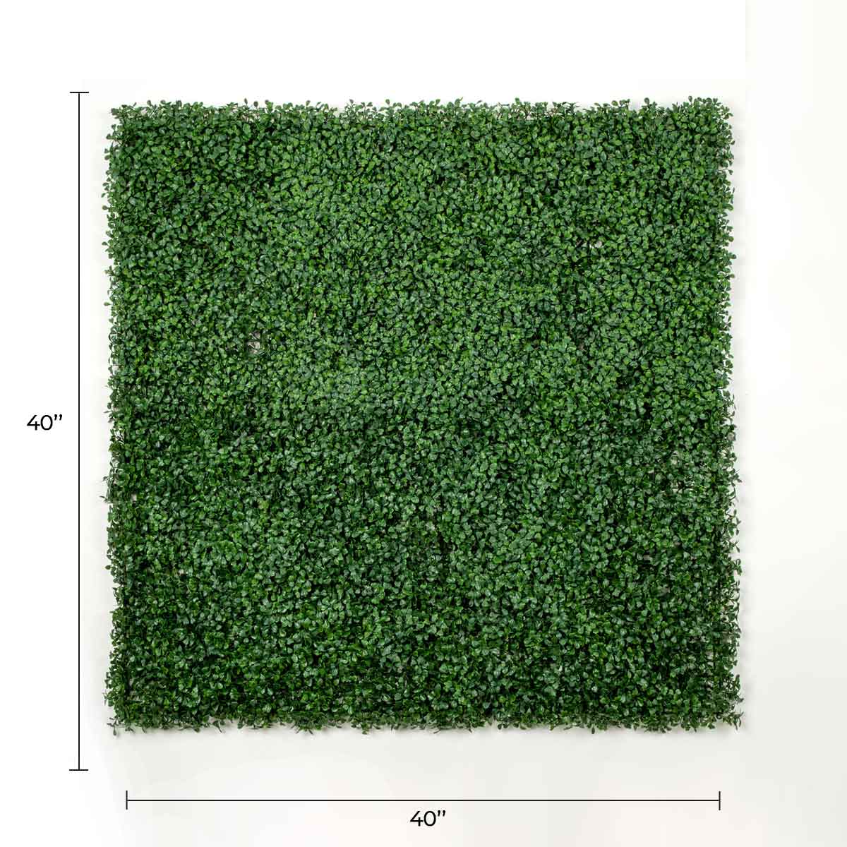 Designer Plants - Wholesale Artificial Plant - Dark Artificial Boxwood Wall 40" x 40" 11SQ FT Commercial Grade UV Resistant1