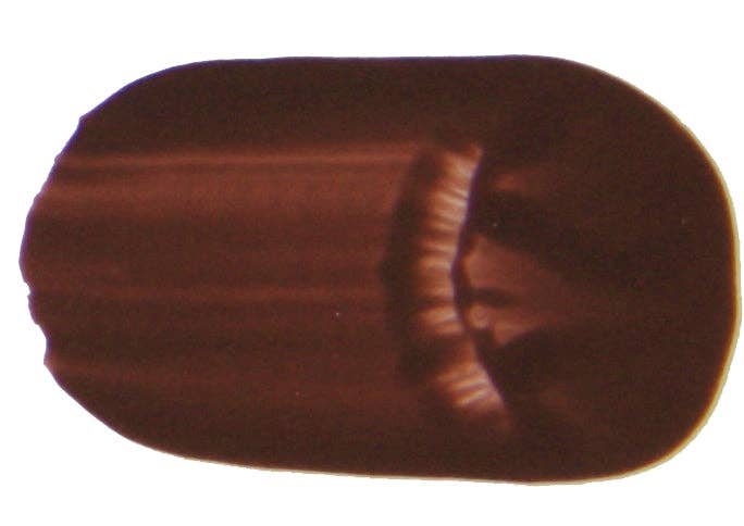 Tri-Art Mfg. - Venta al por mayor Sets de pintura - Acrílico líquido primario2