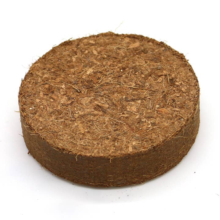 Coir discs 75-80mm CoirProducts CPUK for wholesale by CoirProducts.co.uk of Salike Limited