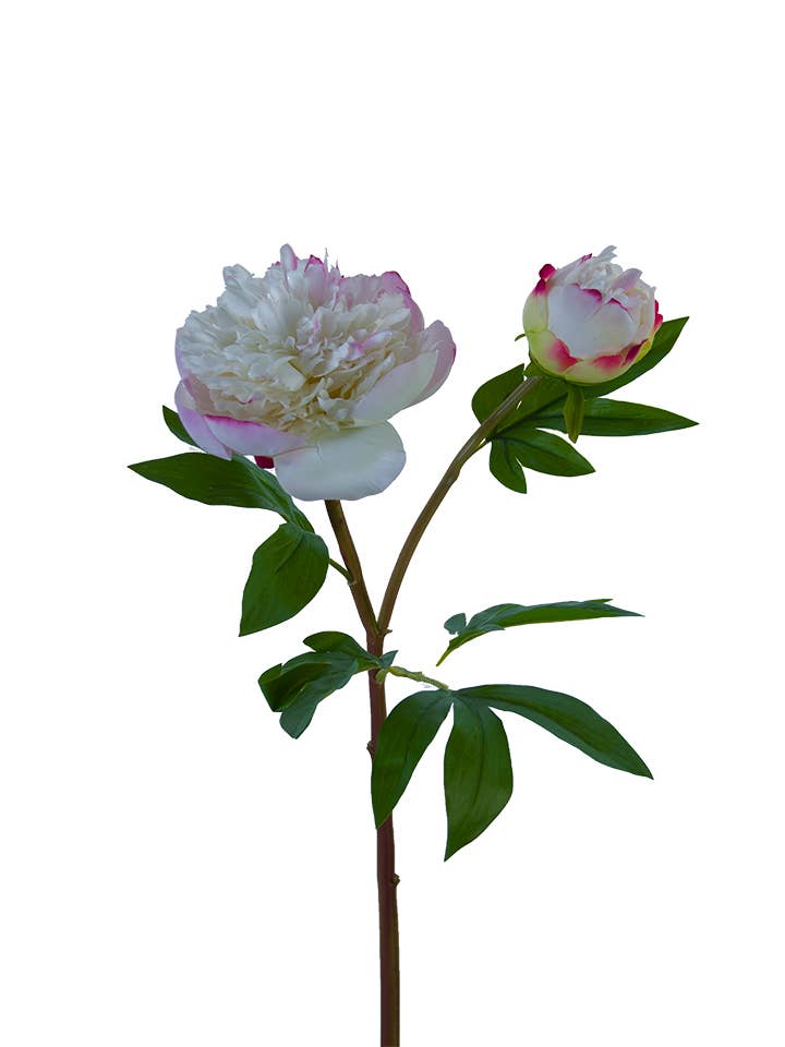 American Best - Vente Fleurs artificielles - PIVOINE À VOLANTS FRESH TOUCH 26"5