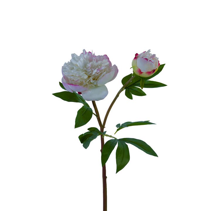 American Best - Vente Fleurs artificielles - PIVOINE À VOLANTS FRESH TOUCH 26"5