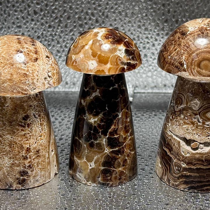 CHOCOLATE CALCITE MUSHROOMS 56MM-100MM for wholesale by ZeeRocks