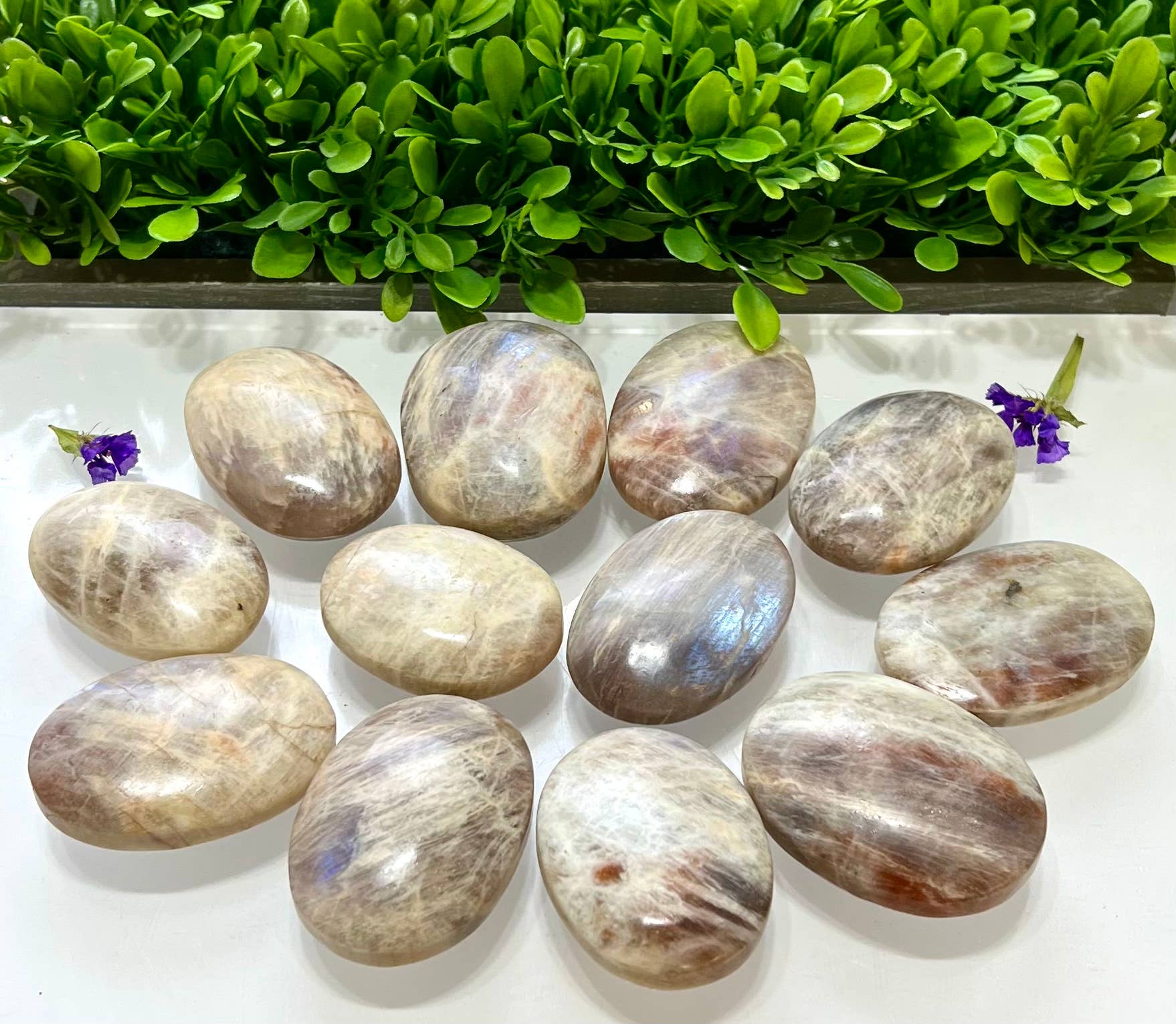KayleeNYC - Wholesale Spiritual Stone/Crystal - 2 Lbs Natural Moonstone Palm Stone Crystal Nice Quality4
