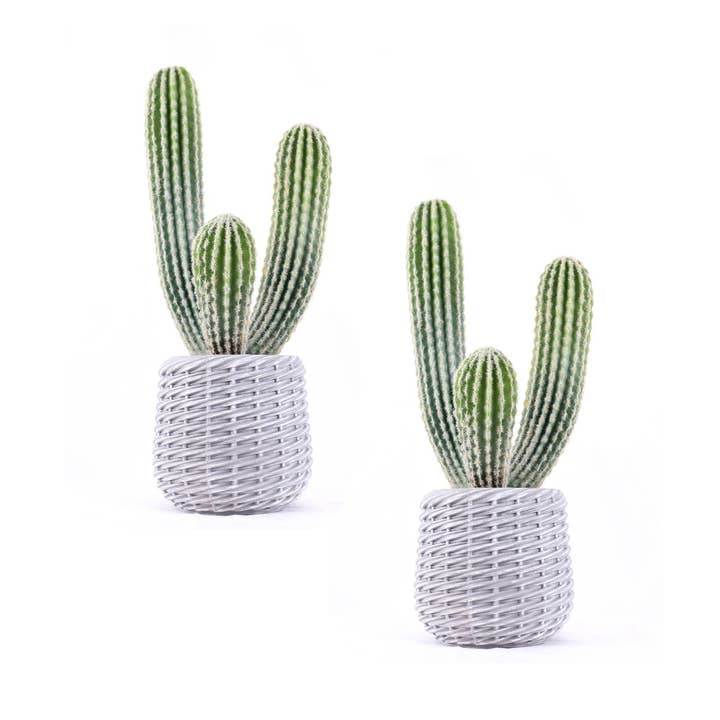 2-pack 25” kunstmatige zuilcactusplanten in gevlochten mand voor wholesale door Vintage Home