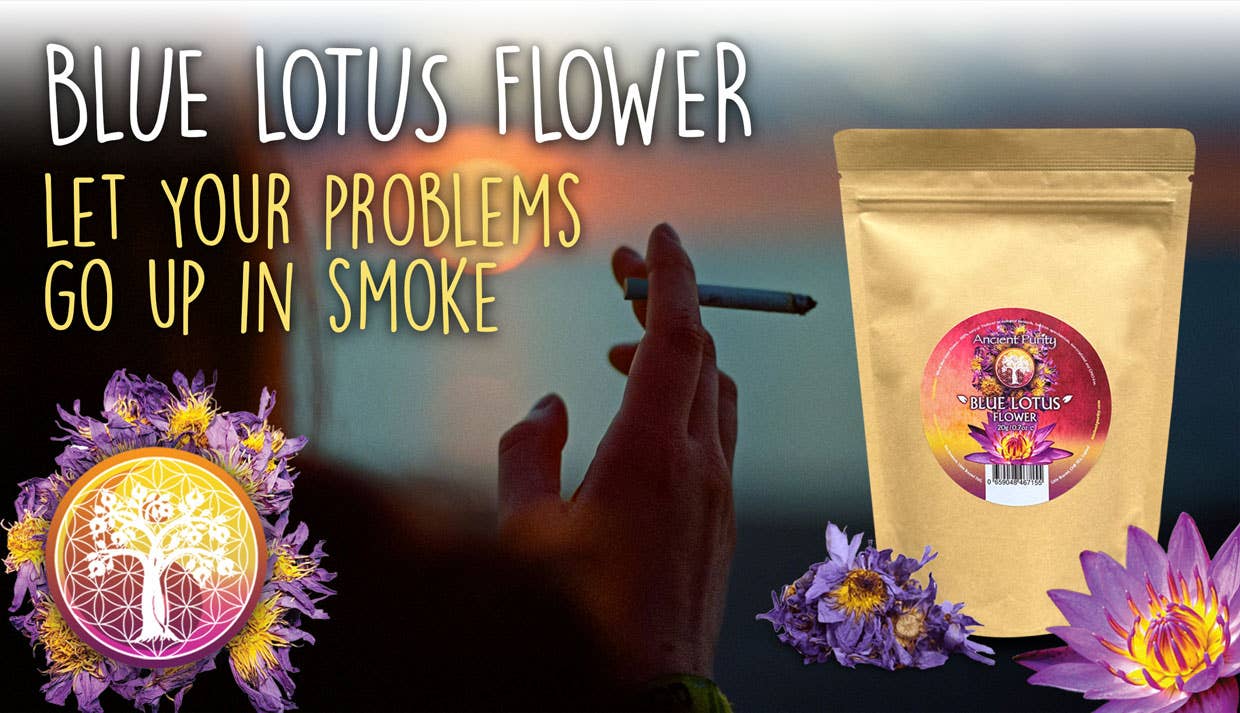 Ancient Purity – Großhandel Loser Tee – Blaue Lotusblume - 20g | Sri Lanka | Ganze Blüten | Tee1