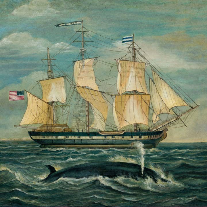 Madison Bay Co. - Historical Home Decor Reproductions - Wholesale Painting/drawing - American Whaling Ship with Sperm Whale Vintage Painting Print15