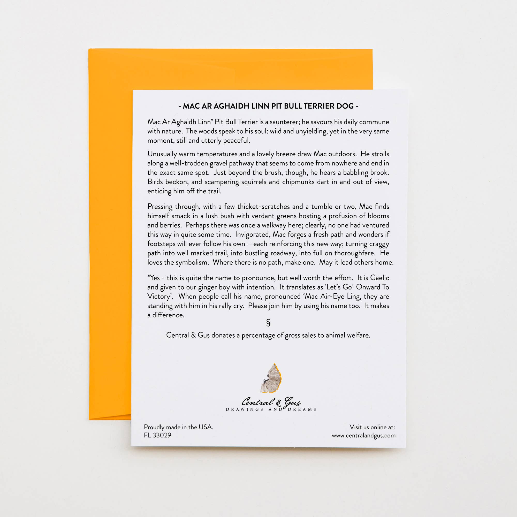 Central & Gus – Großhandel Grußkarten für den Alltag – Mac Ar Aghaidh Linn Pit Bull Terrier Notizkarte1
