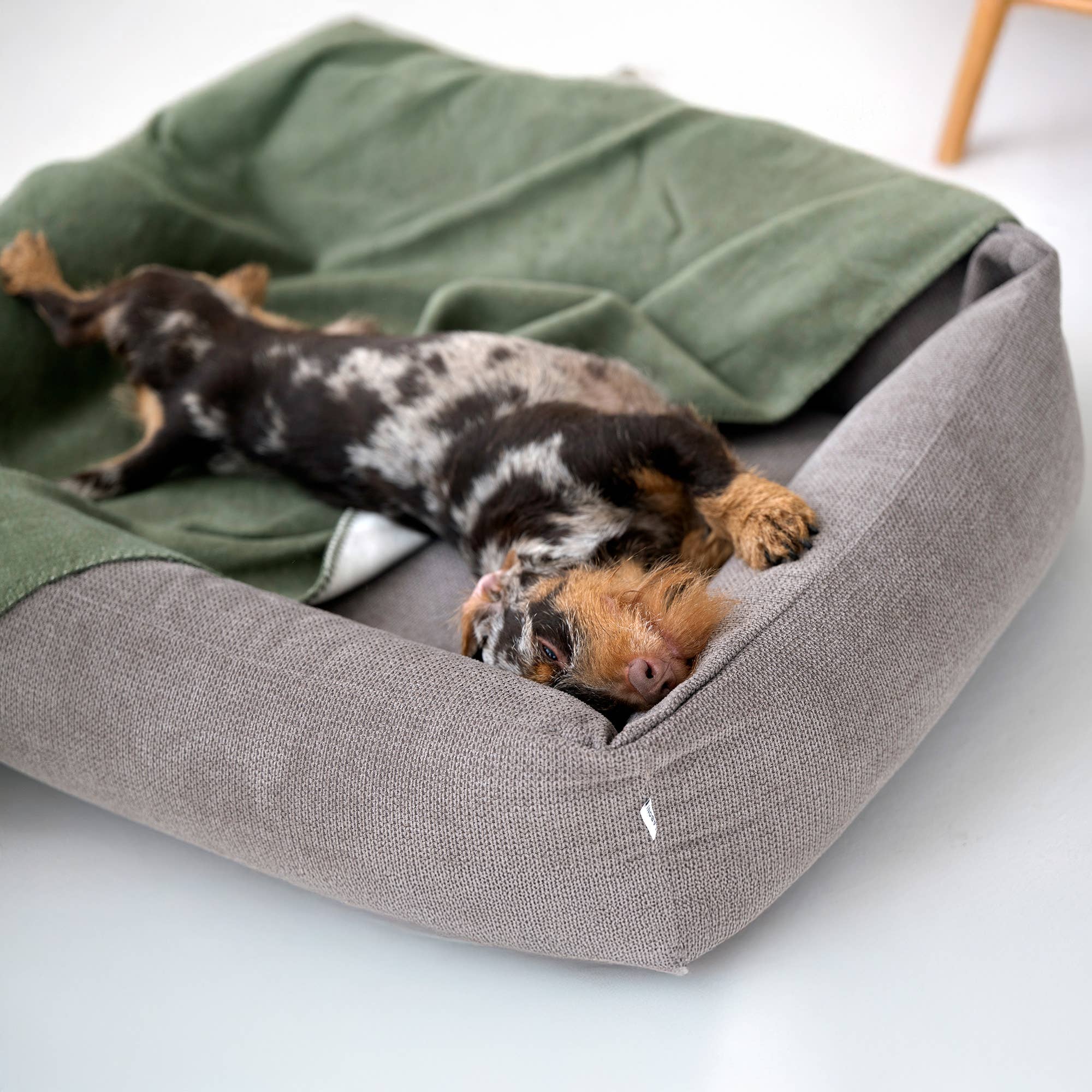 LABONI - Volentis GmbH – wholesale Husdjursbädd – Hund – ORTHO SÄLLSKAPSDJUR SÄNG TUDOR32