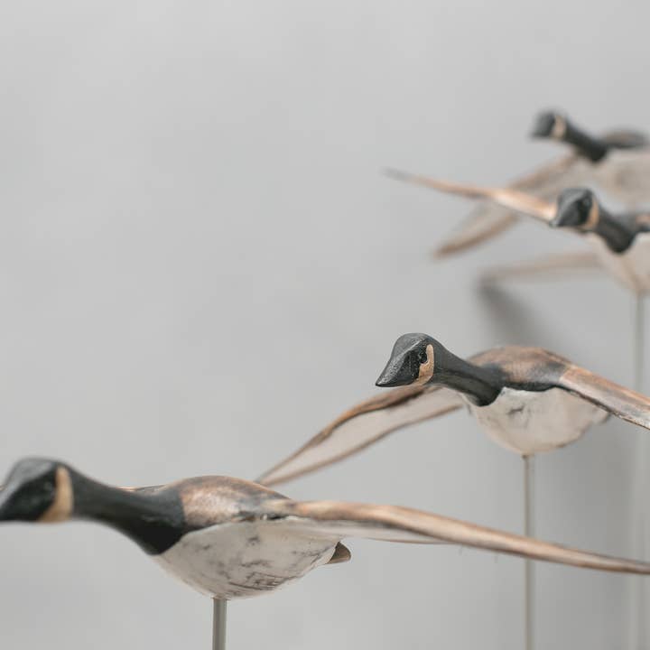 Aviologie - Wholesale Decorative Figurine - Canada Goose - Flying Set of 5 - 22"L -Carved Ornament