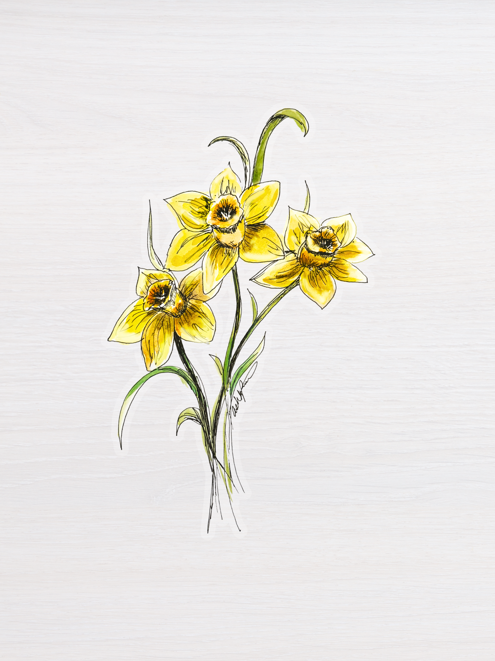 Locksley Workshop - Wholesale Sticker - Daffodil Sticker2