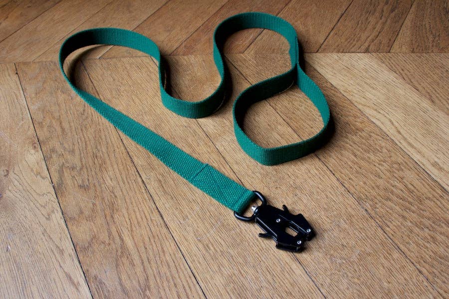 HINDQUARTERS – wholesale Pet leash – Dog – Green dog lead1