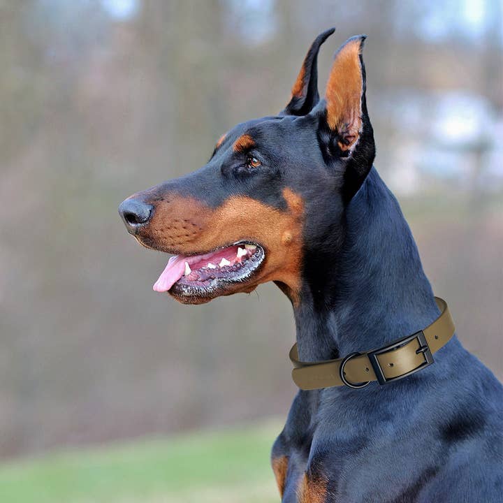 Dogline - Wholesale Pet Collar - Dog - Biothane Waterproof Collar