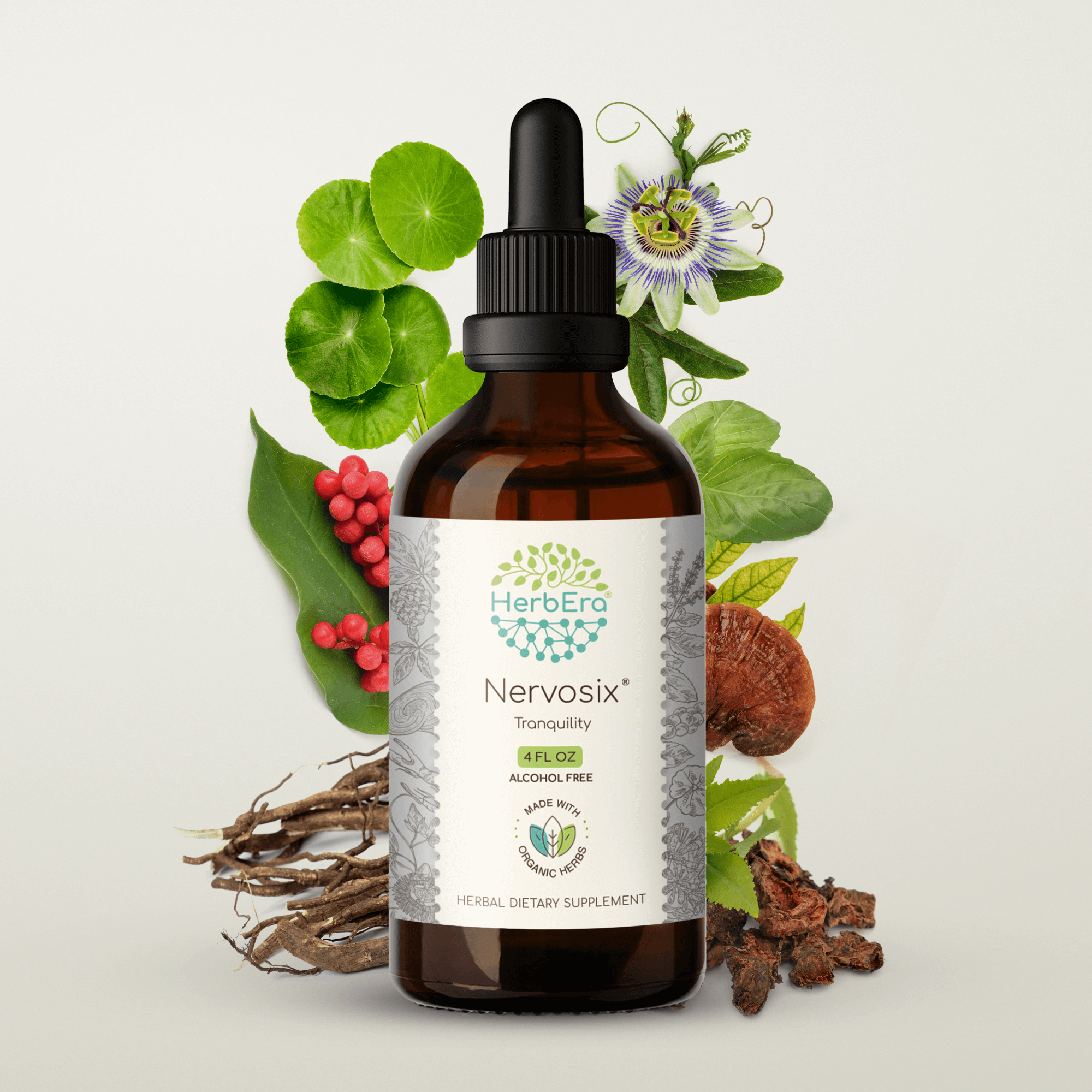 HerbEra - Wholesale Tincture - Nervosix Tincture2