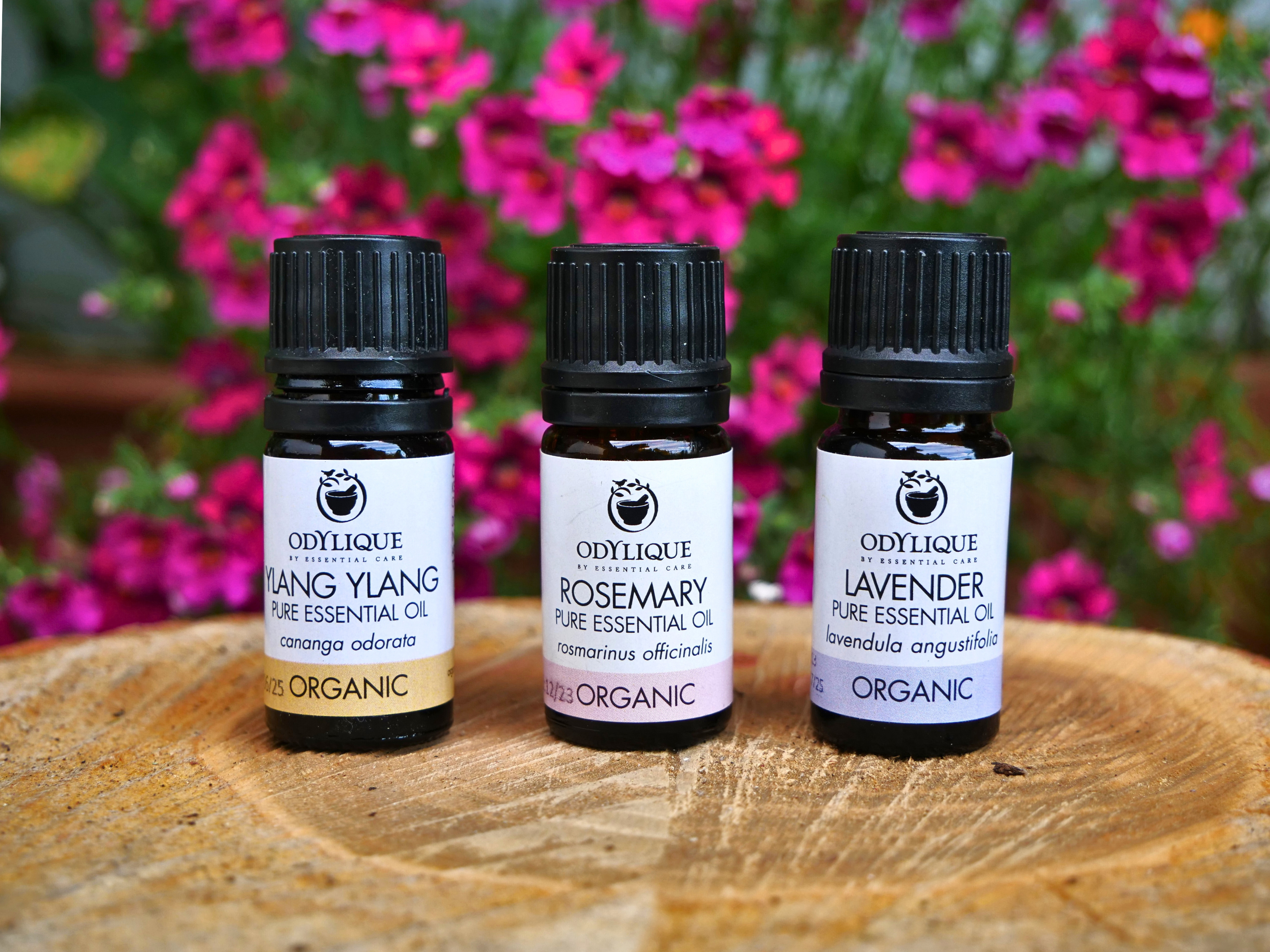 Odylique – wholesale Essential oil – Organic Essential Oils22