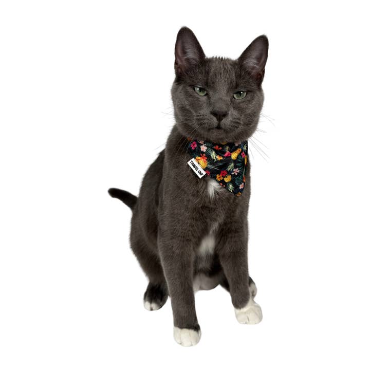 Travel Cat | Your Cat Backpack - Wholesale Pet Bandana - Dog - "The Hawaiian" Bandana & Collar Set